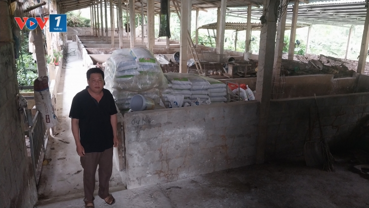 Tuyên Quang: Tăng cường kiểm soát Dịch tả lợn Châu phi
