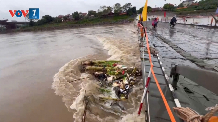 Cắt cầu phao Phong Châu, Phú Thọ