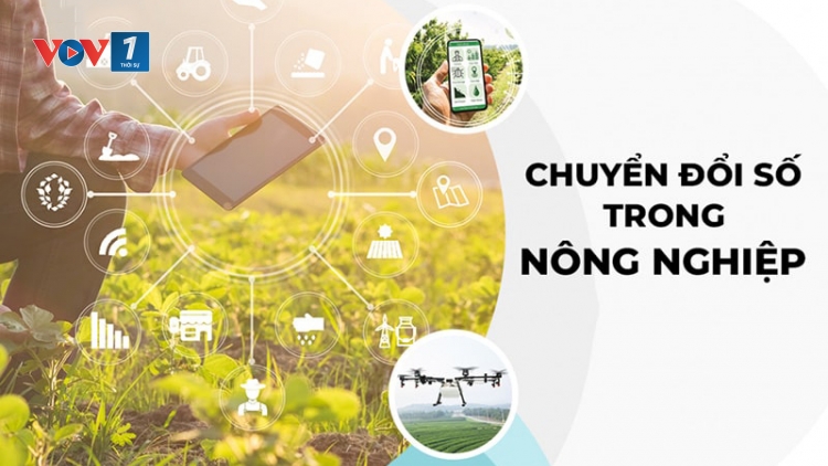 Chuyển đổi số - thay đổi tư duy sản xuất nông nghiệp của người nông dân (07/08/2025)