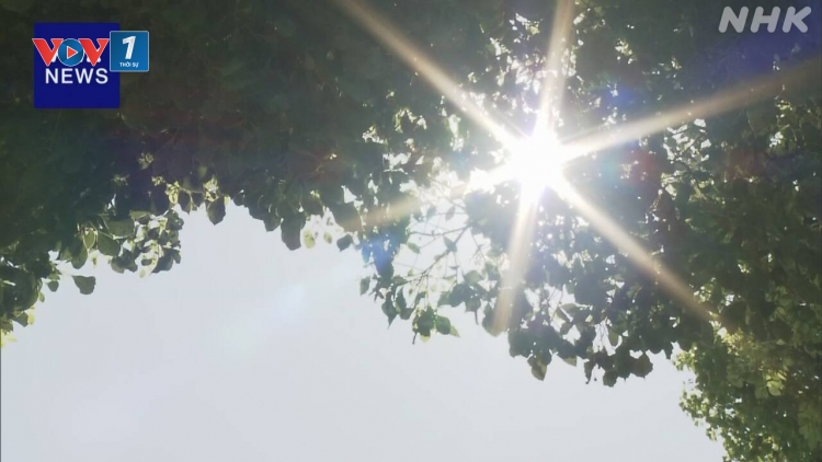 Nắng nóng kỷ lục tại Nhật Bản ảnh hưởng nghiêm trọng đến sức khỏe và sinh hoạt của người dân