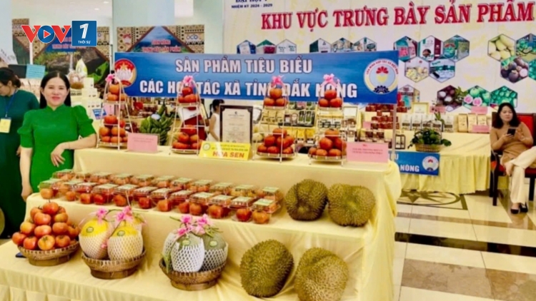 Chế biến sâu, nâng tầm giá trị sản phẩm OCOP-kết nối, lan tỏa giá trị Việt