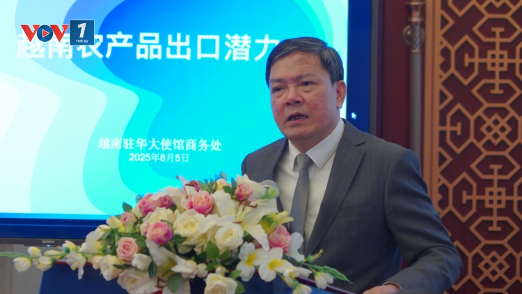 Đưa hàng Việt thâm nhập sâu vào thị trường Trung Quốc