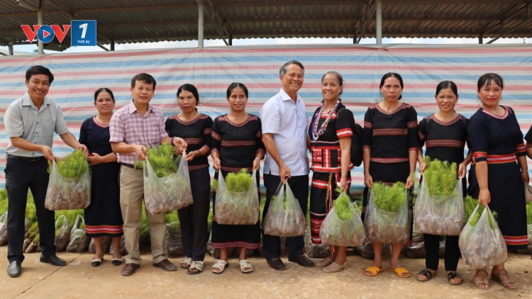 Từ nghị quyết giảm nghèo đến việc làm giàu của người Xơ Đăng nơi đại ngàn (26/8/2025)