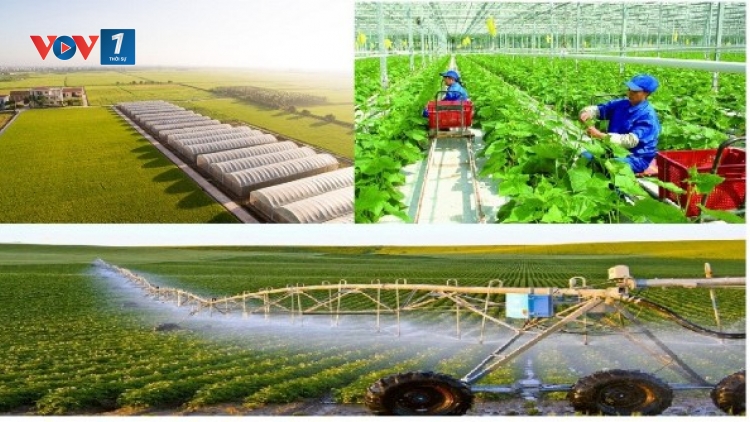 Khoa học công nghệ – Động lực nâng tầm nông nghiệp Việt Nam (12/09/2025)