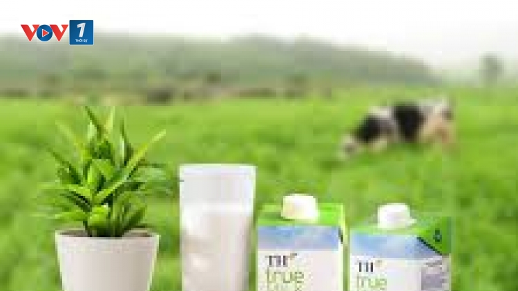 Vai trò của sữa tươi sạch đối với sự phát triển thể lực, trí não của trẻ