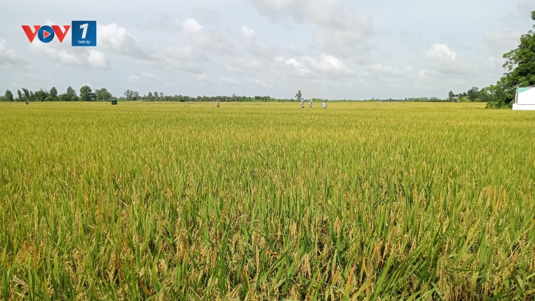Sản xuất nông nghiệp cần "sạch từ tâm” (20+21/09/2025)
