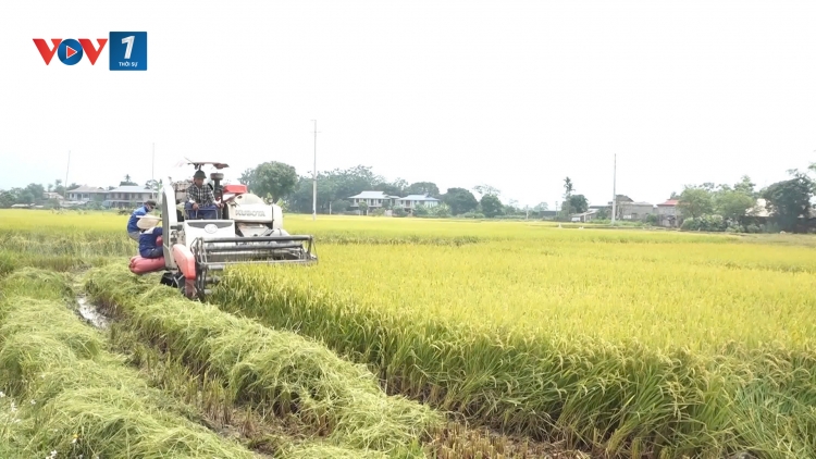 Chủ động ứng phó bão số 9 (25/09/2025)