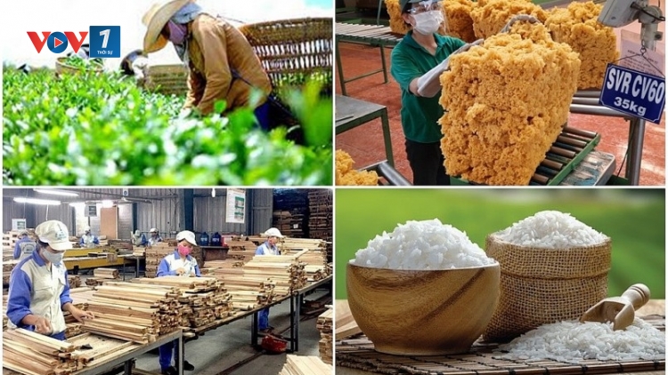 Nông nghiệp lấy lại đà tăng trưởng nhờ nông sản chủ lực (06/09/2025)