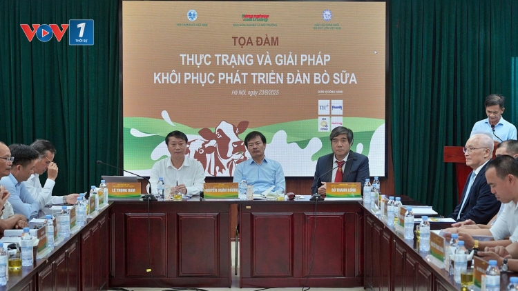 Hướng đi nào cho ngành chăn nuôi bò sữa khi tăng trưởng về dưới 1%