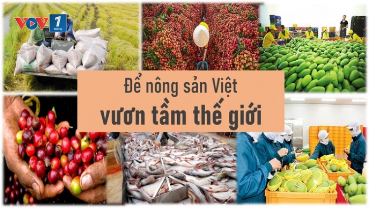 Nông sản Việt Nam vươn tầm thế giới (03/09/2025)