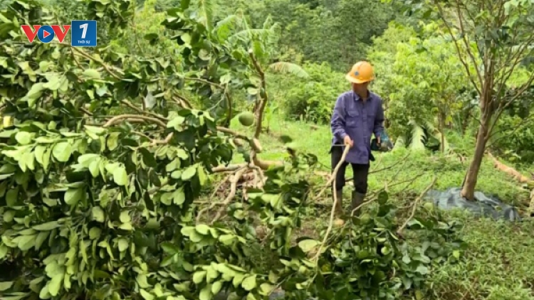 Tập trung khôi phục sản xuất sau thiên tai (02/10/2025)