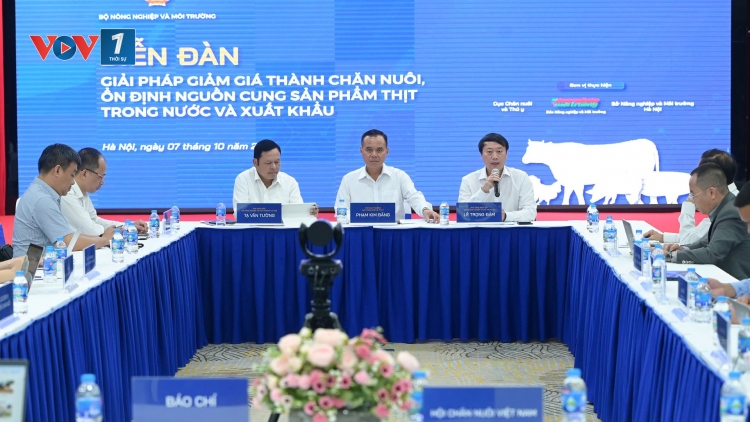 Tìm giải pháp giảm giá thành chăn nuôi, đảm bảo nguồn cung cuối năm