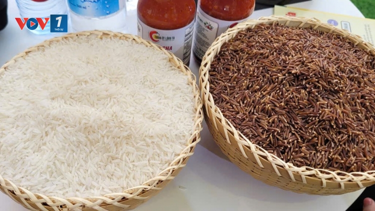 Gia tăng xúc tiến thương mại cho nông sản tại Hội chợ Mùa Thu 2025