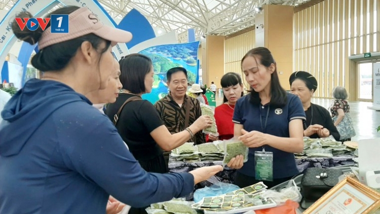 Nâng tầm thương hiệu nông sản Việt từ Hội chợ Mùa Thu lần thứ nhất năm 2025