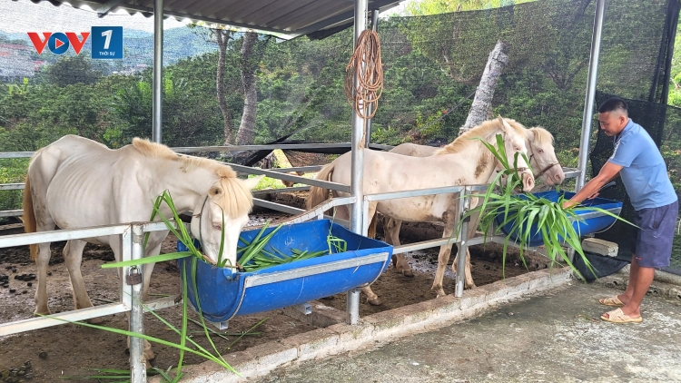 Chuyển đổi sản xuất hiệu quả, mở lối giảm nghèo bền vững (14/10/2025)