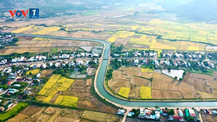 Mùa vàng ở Ayun Hạ