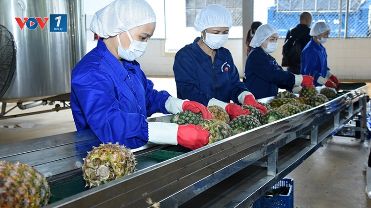 Nông nghiệp tiếp tục duy trì đà tăng trưởng giữa nhiều thách thức (07/10/2025)