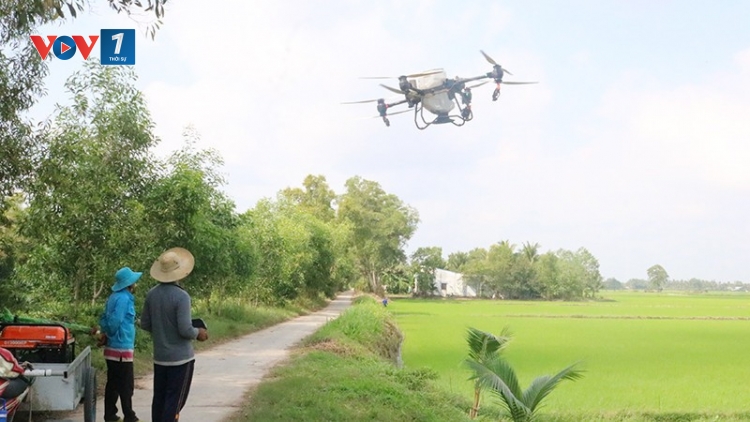 Theo dòng thời sự chiều 10/10/2025