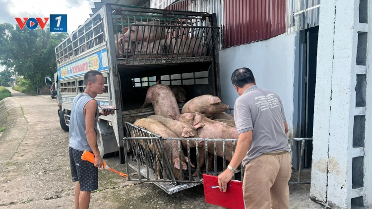 Đảm bảo đủ nguồn cung thực phẩm an toàn trong những tháng cuối năm (25&26/10/2025)