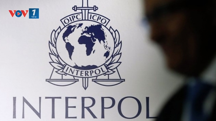 Thời sự 6h 29/11/2025: Interpol kêu gọi hành động toàn cầu chống lừa đảo xuyên quốc gia