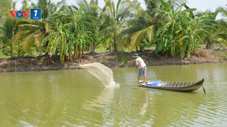 Chuyển đổi xanh, kinh tế tuần hoàn trong nuôi trồng thủy sản tại ĐBSCL (05/11/2025)
