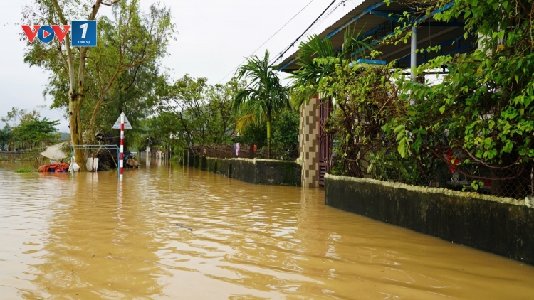 Bản tin 9h 1/11/2025