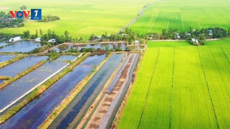 Nông nghiệp sản xuất thuận thiên
