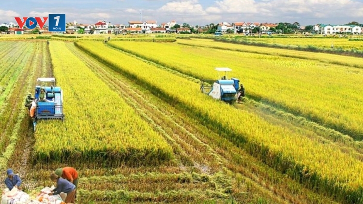 Nông nghiệp, trụ đỡ của nền kinh tế