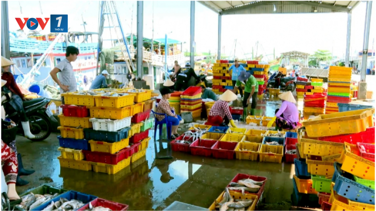 Theo dòng thời sự sáng 25/11/2025