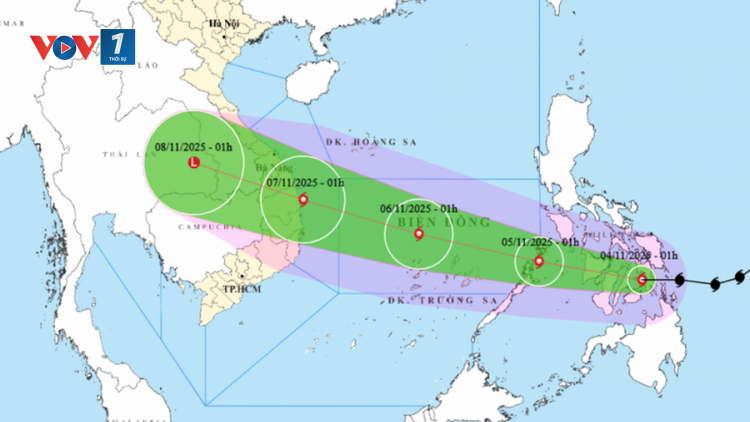Bản tin 15h 6/11/2025