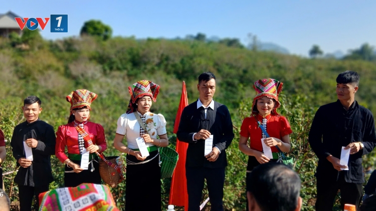 Du lịch nông nghiệp: Hướng đi mới trong giảm nghèo bền vững