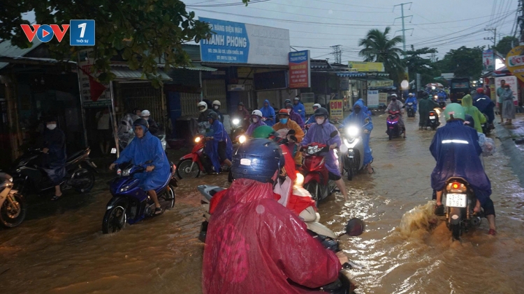 Bản tin 9h 3/11/2025