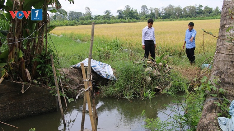 Khoa học công nghệ - Chìa khoá mang lại mùa vàng (26/11/2025)