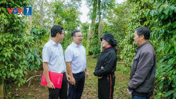 Theo dòng thời sự sáng 4/11/2025
