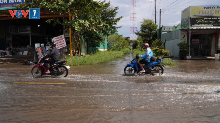 Dự báo xuất hiện kỳ triều cường cao nhất năm, Cà Mau vận hành toàn bộ hệ thống cống, đập ứng phó