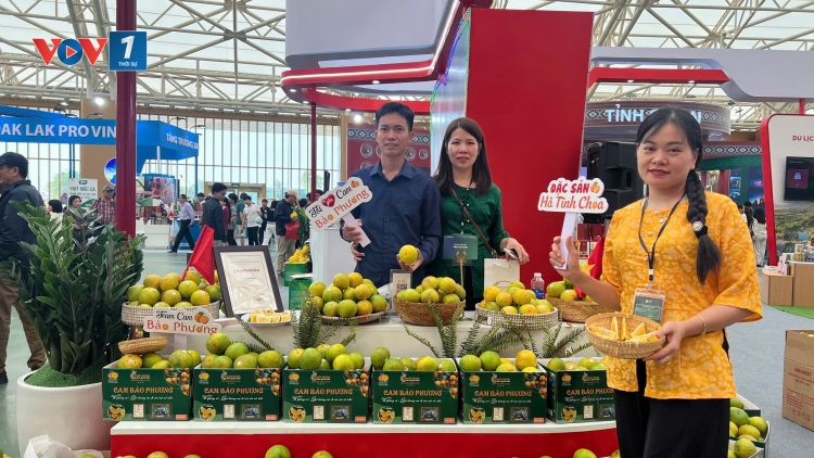 Những nông sản OCOP chinh phục khách hàng (03/11/2025)
