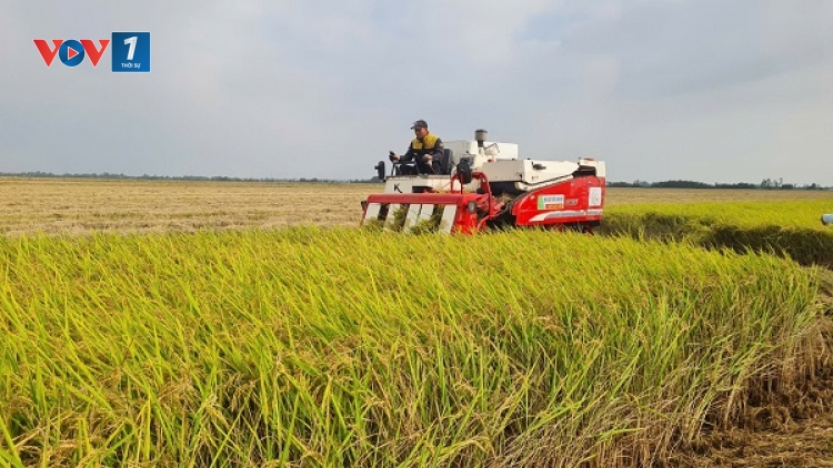 Nông nghiệp – Trụ đỡ vững chắc của kinh tế Việt Nam trong giai đoạn mới 