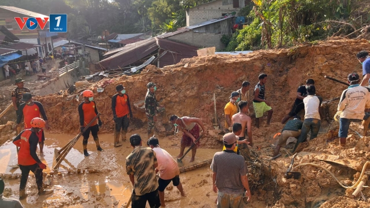 Thảm họa lũ lụt tại Indonesia và lời kêu gọi về việc cần bảo vệ rừng
