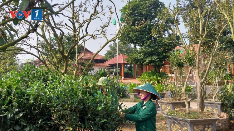 Động lực phát triển cây chè ở tỉnh Thái Nguyên đạt 1 tỷ đô la