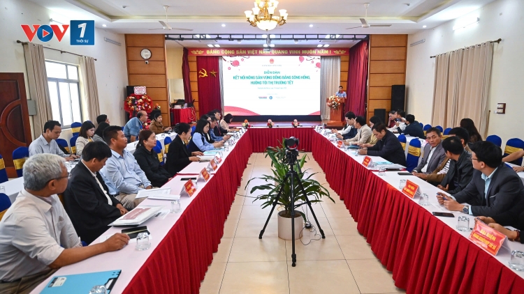 Đồng bằng sông Hồng: giảm áp lực tiêu thụ cây trồng vụ Đông