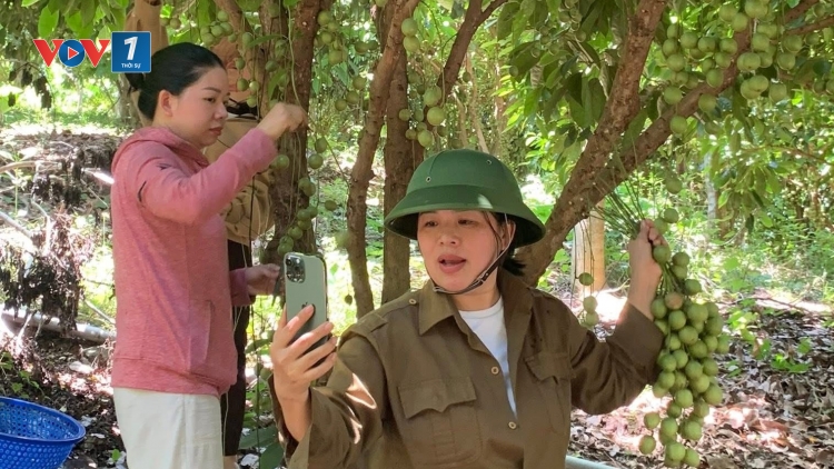 Chuyển đổi số giúp nông sản của đồng bào miền núi Khánh Hoà tiếp cận nhanh thị trường