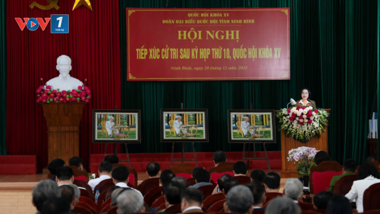 Bản tin 15h 20/12/2025