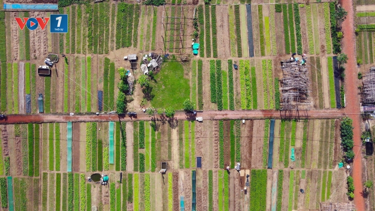 Nâng cao vai trò kết nối của HTX trong việc thực thi chính sách (09/12/2025)