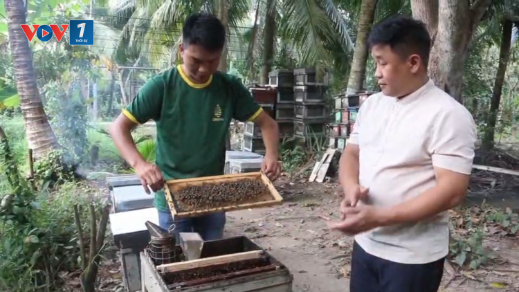 Hành trình 10 năm với đàn ong hữu cơ của anh Nguyễn Minh Tùng ở Cần Thơ