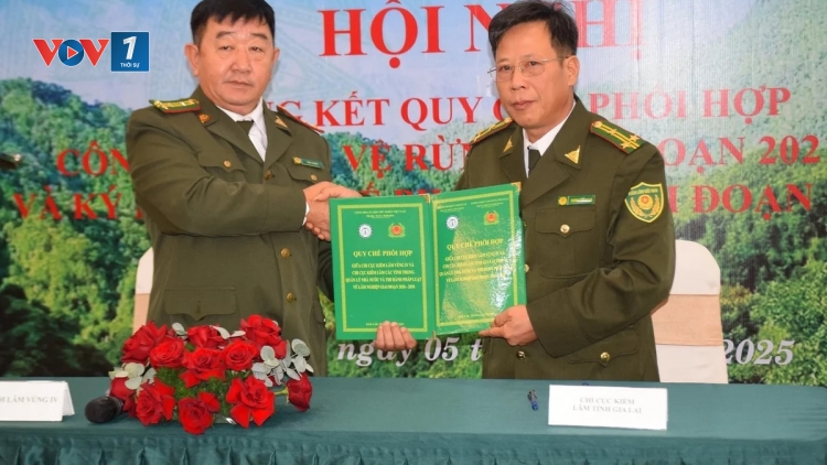 Kiểm lâm vùng IV ký kết quy chế phối hợp với 6 chi cục kiểm lâm trong vùng Duyên hải Nam Trung bộ
