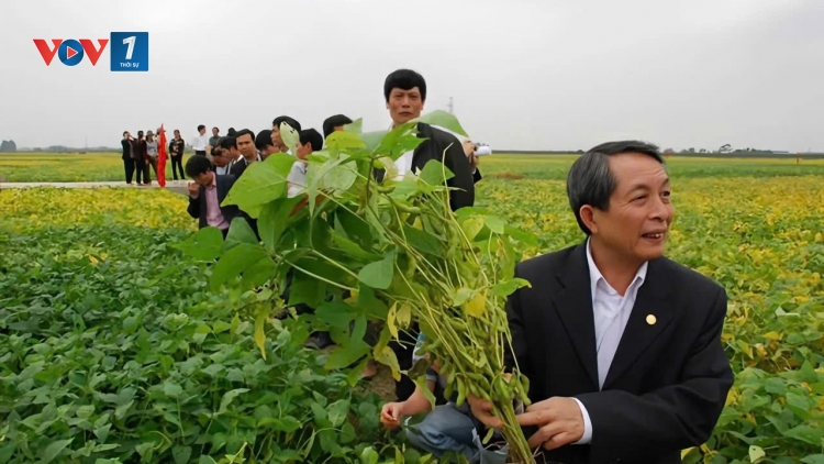 Hợp tác xã là cầu nối giúp nông dân tham gia chuỗi liên kết (05/12/2025)