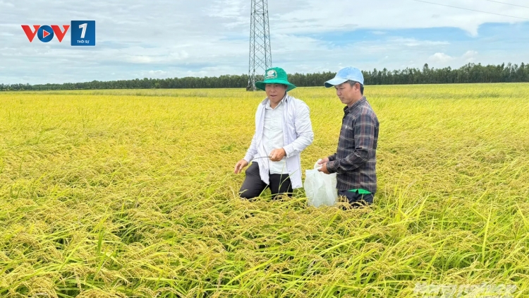 An Giang tăng cường giảm nghèo bền vững vùng biên