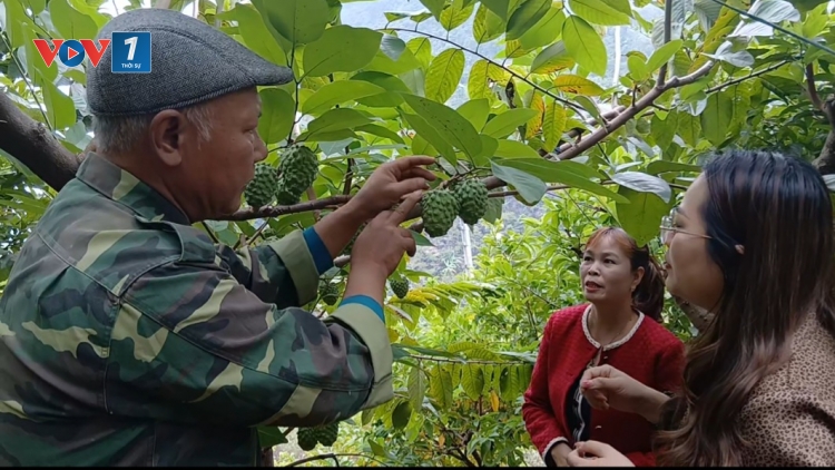 Nhân lực nông nghiệp số, nền tảng cho phát triển nông sản 