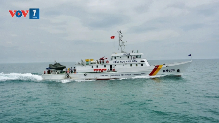 Hoàn thiện chế độ, chính sách cho lực lượng Kiểm ngư đáp ứng yêu cầu quản lý nghề cá bền vững