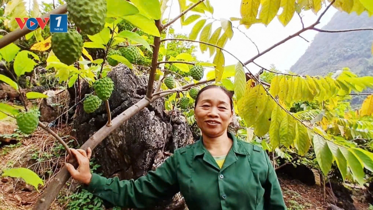 Khi nông dân làm chủ công nghệ để vươn lên thoát nghèo 